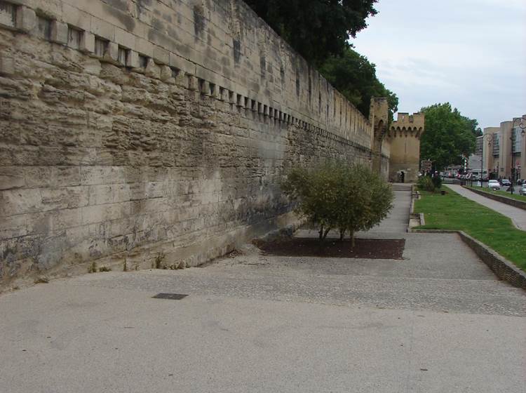 Avignon remparts