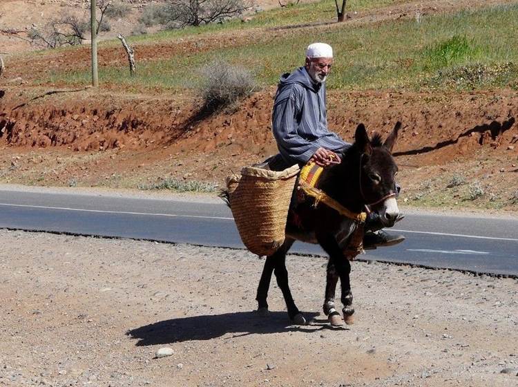 Transport traditionnel dans le sud marocain