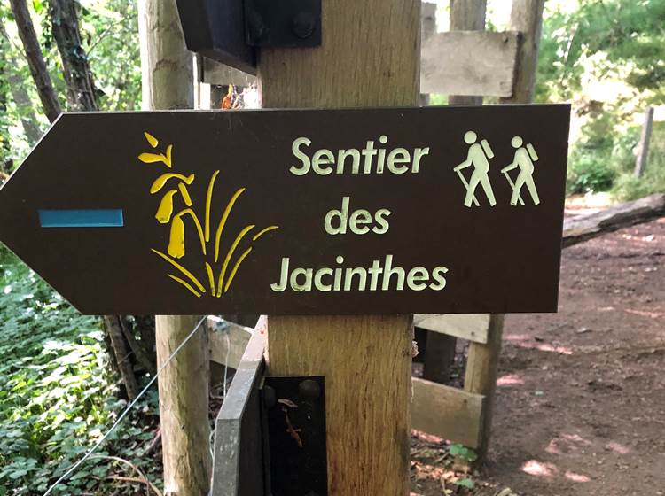 Sentier des Jacinthes