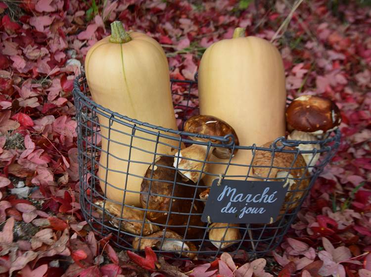 Butternuts et ceps sur leur lit de feuilles