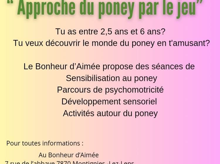 Approche du poney par le jeu