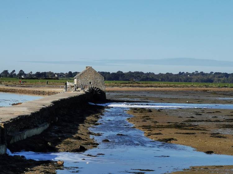 ile d'arz morbihan bretagne chambres d'hôtes bien être séjour repos ressourcement détente anti stress cure ayurvédique spa