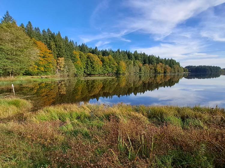 Lac de Sechemaille