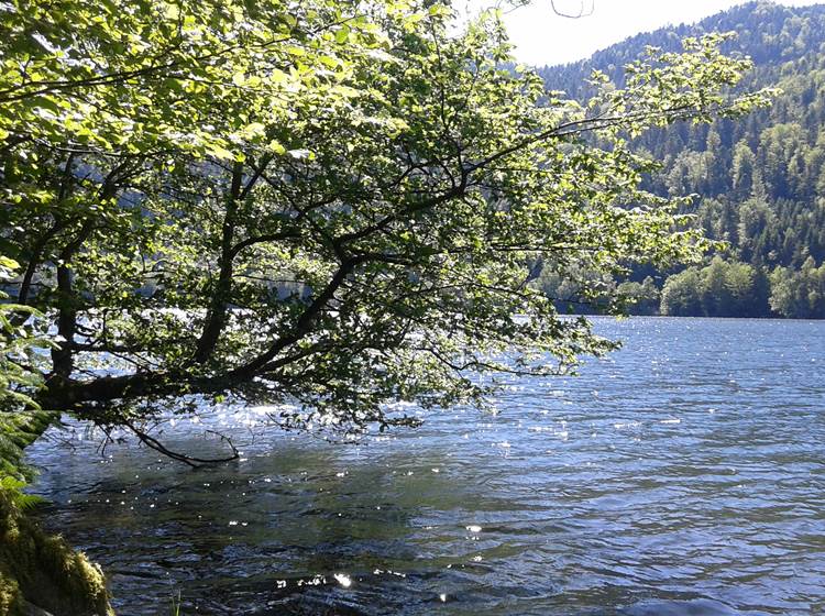 le lac de kruth wildenstein accessible a pied depuis l'hôtel