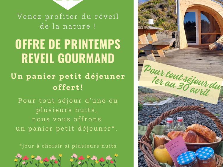 Offre printemps 2025