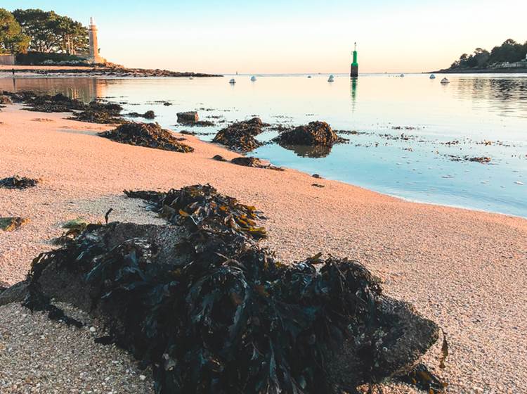 Embouchure de l'Odet depuis la plage du Coq Bénodet