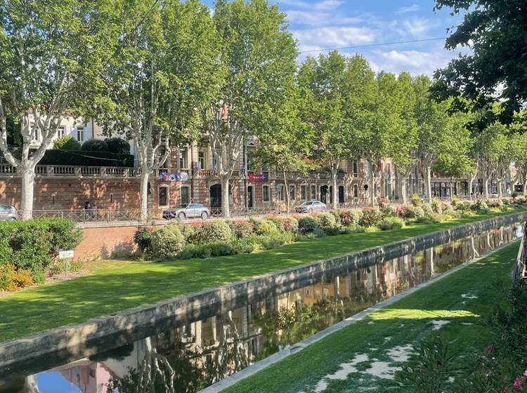 Perpignan la Rayonnante, les quais de la Basse. Un peu de fraîcheur pour adoucir la chaleur de l'été au centre ville. Bonne promenade !