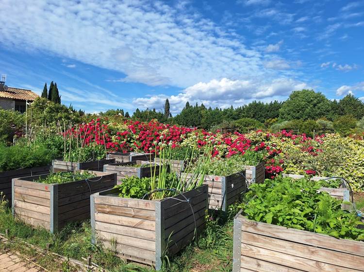 Verger et potager bio