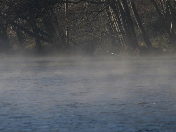 Morgenmist - Brume matinale - Morgennebel - Morning mist