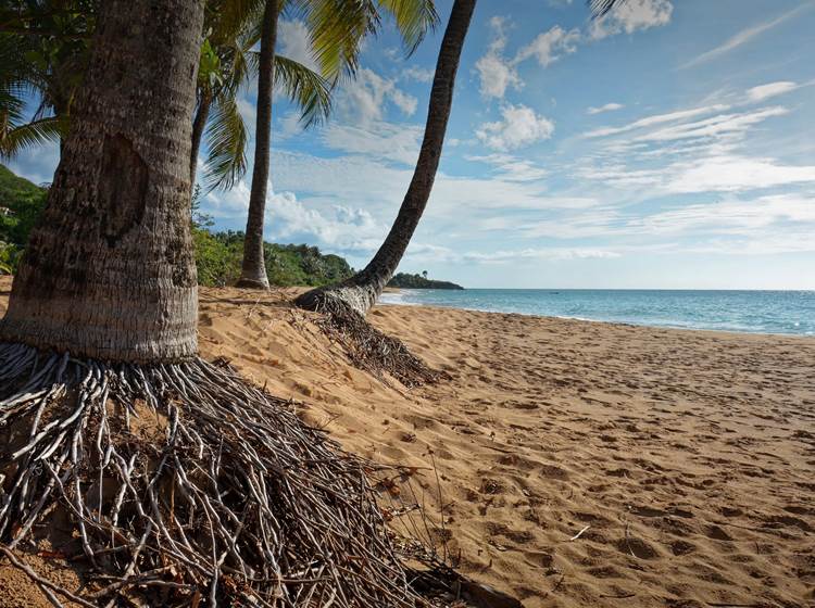 Gite_Rural_Flane_Capesterre_Belle_Eau_Guadeloupe_Basse_Terre