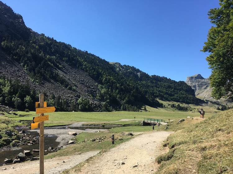 hiking in the mountains / randonnée en montagne