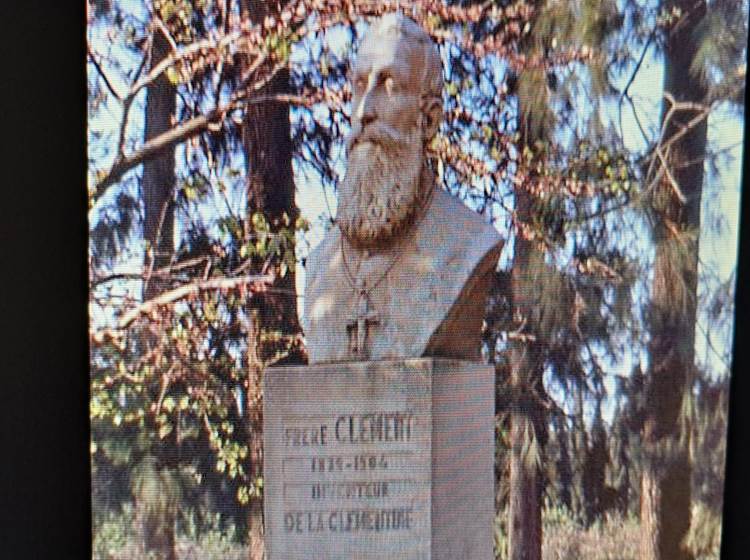 Frère Clément
