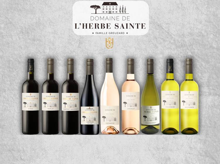 visite vignoble 11