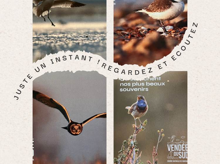Sortie du guide touristique Vendée du Sud 2025