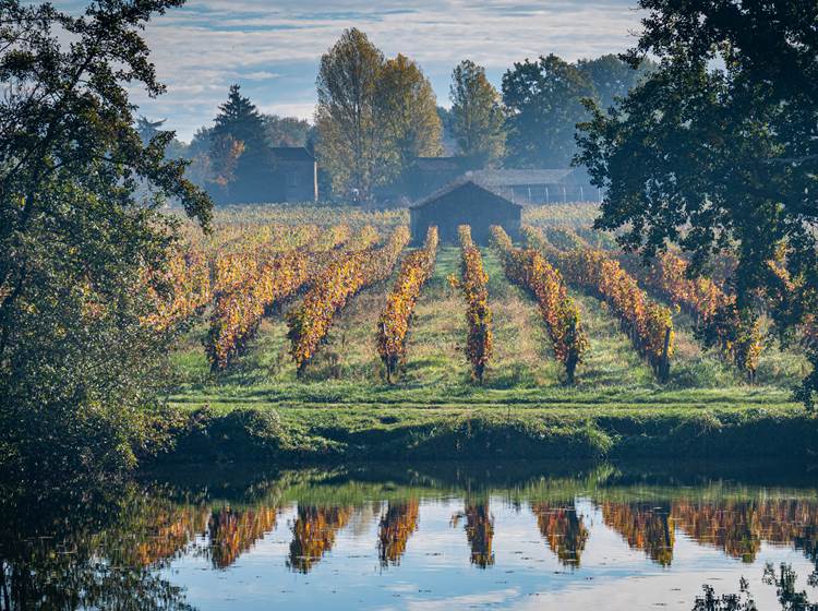 Vignoble en automne Luzech © Steve Jones-3