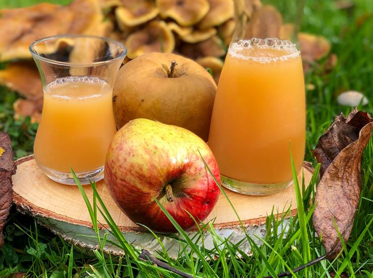 délicieux jus de pommes  réalisé à partir des fruits du verger