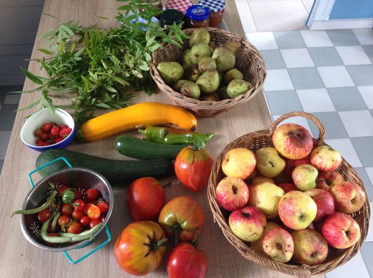 Colazione, Table d'hôtes, Cestino da picnic - L'Estancat - PARDIES PIETAT -  FRANCE