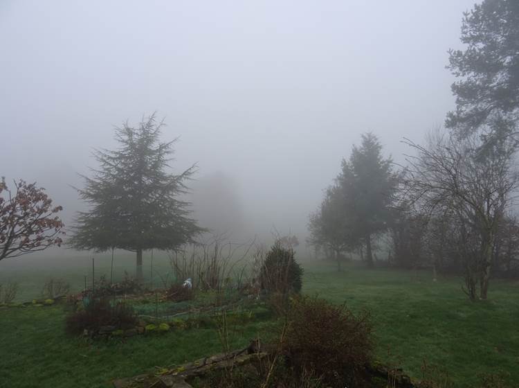 brouillard à l'aube