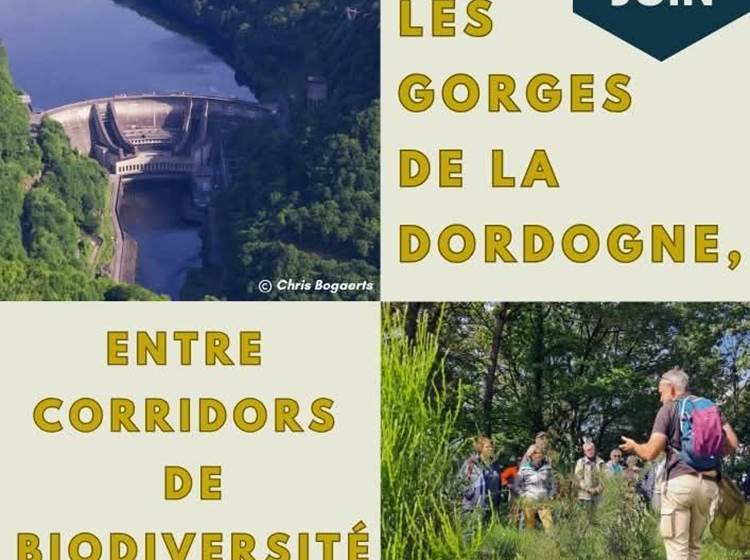 Marche Conférence 7 juin