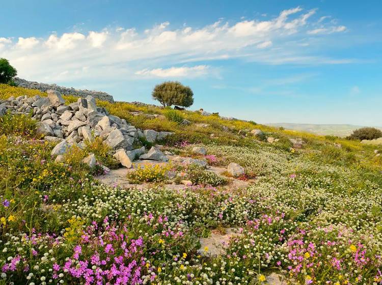 Villa Dolce Valle - Ragusa