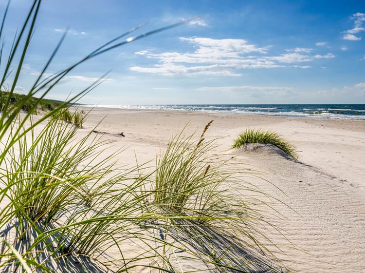 plage-normandie-granville-saint-pair-sur-mer