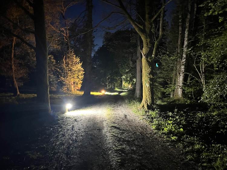 Le parc entre ombres et lumières