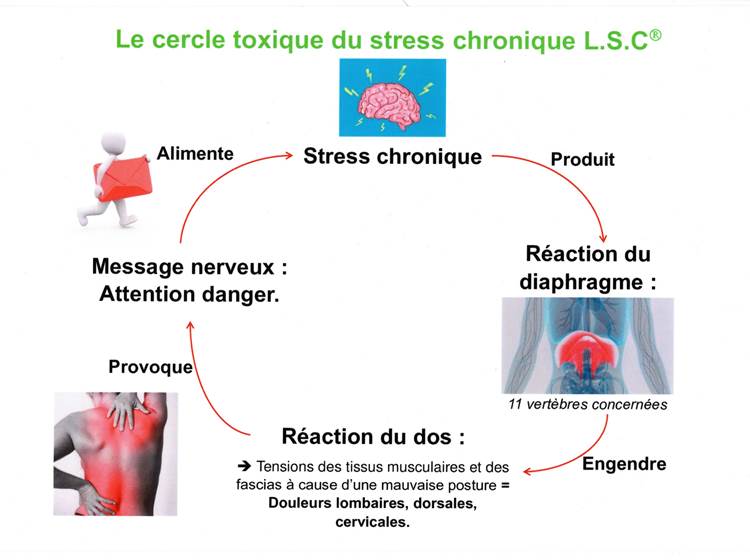 Enrayer la spirale infernale du stress sur l'être humain, agir pour notre cerveau et notre corps-page