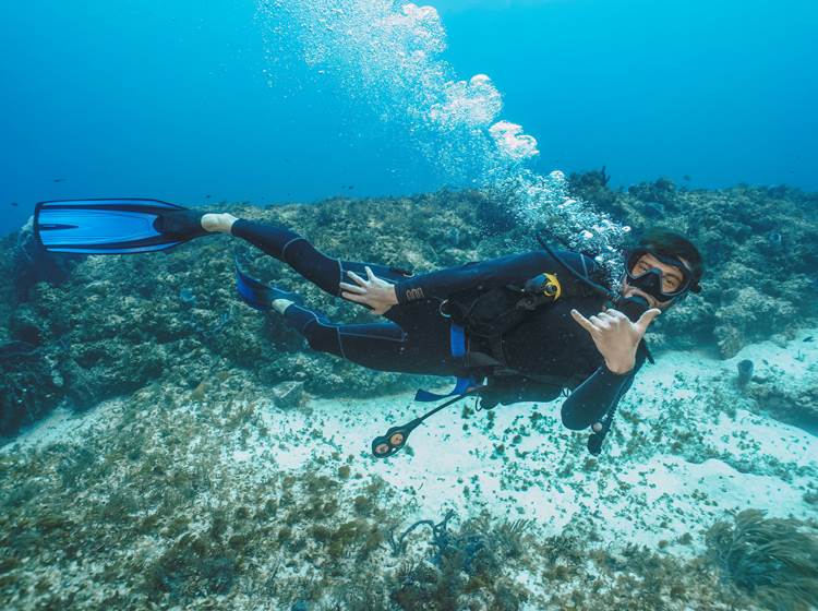 Plongée-Réserve-Cousteau-Koroko