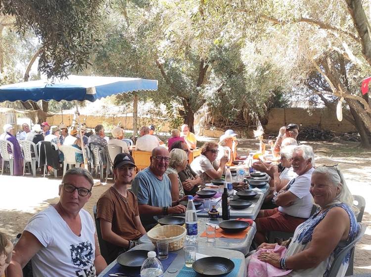 Repas sous les oliviers