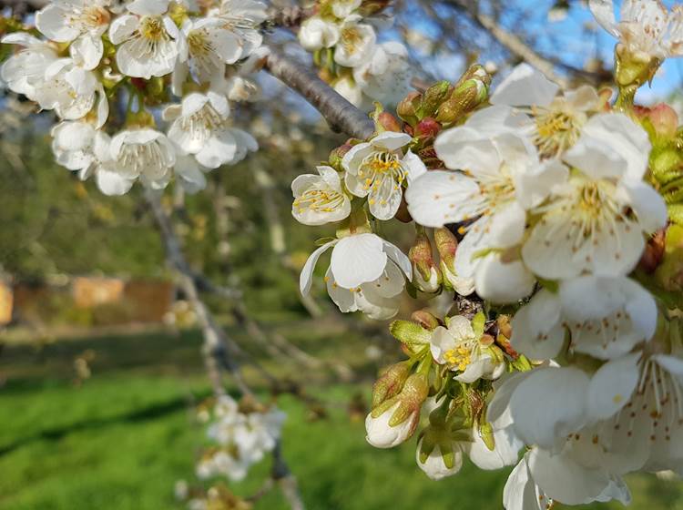 Vivez au rythme des saisons au Domaine des Anges.