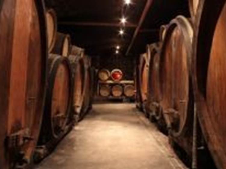 Cave historique voutée