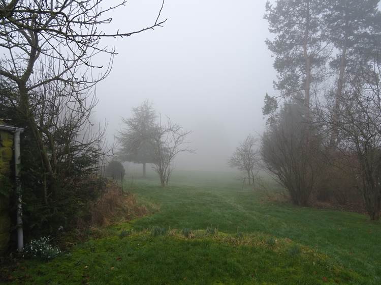 jardin du gîte 1 dans le brouillard