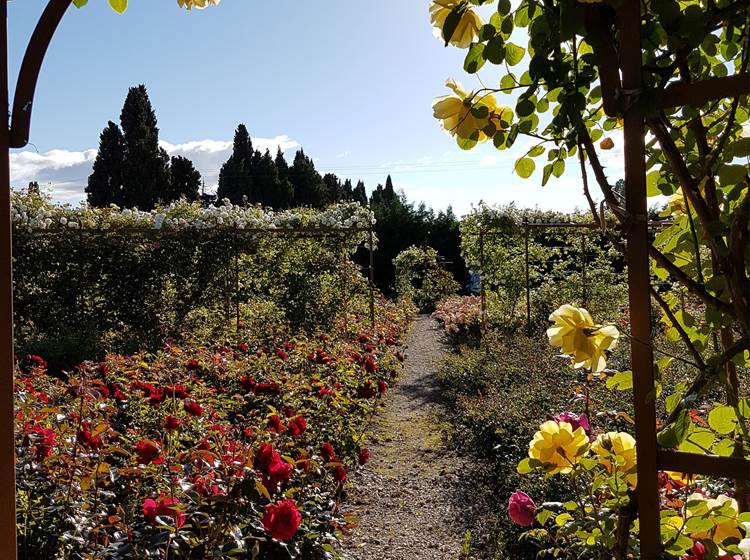 Jardin d'Alcinoos