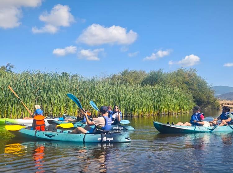 Abbartello Kayak le Taravo a une vaste roseliere