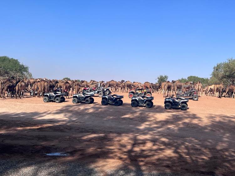 AGADIR QUAD - location de quad - Explorez Agadir en Quad pendant 2 heures!