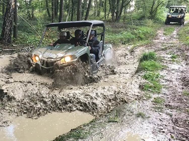 Ballade buggy près de Maubeuge