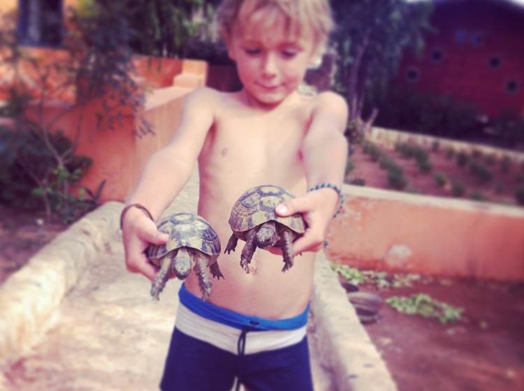 les tortues de Baoussala