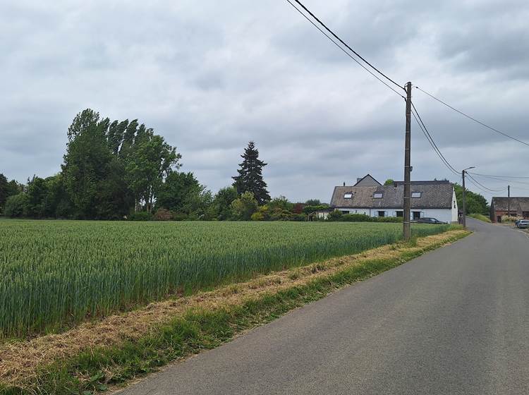 Au fil de la promenade
