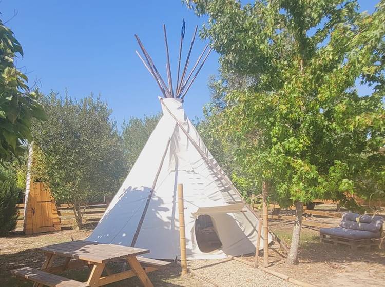 tipi