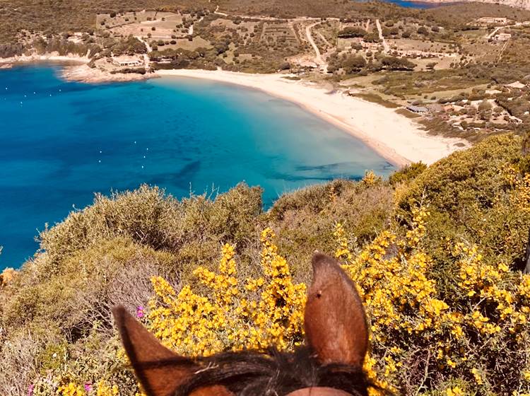 Randonnée à la journée vers la plage d'Arone en contrebas