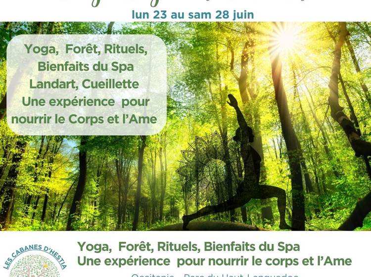 Sans titre