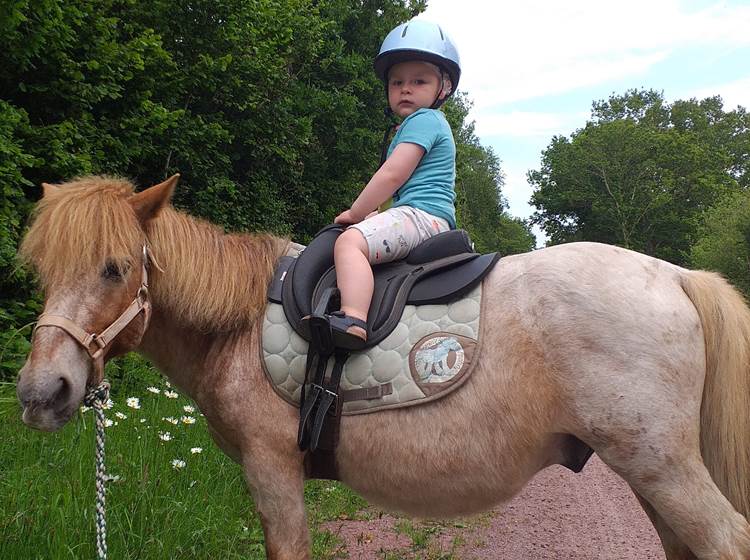 poney tenu en longe par les parents