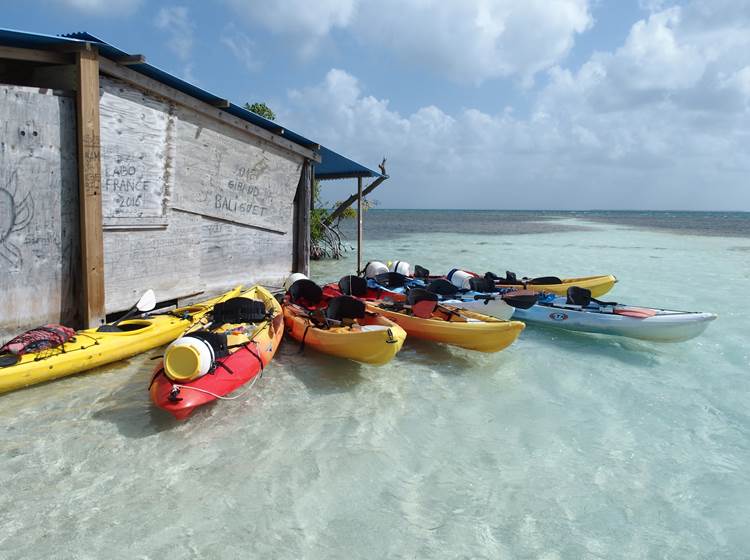 Kayak-Guadeloupe-Koroko