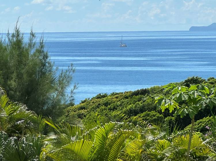 Iguane House villas & Micro Spa vue mer sur Marie Galante