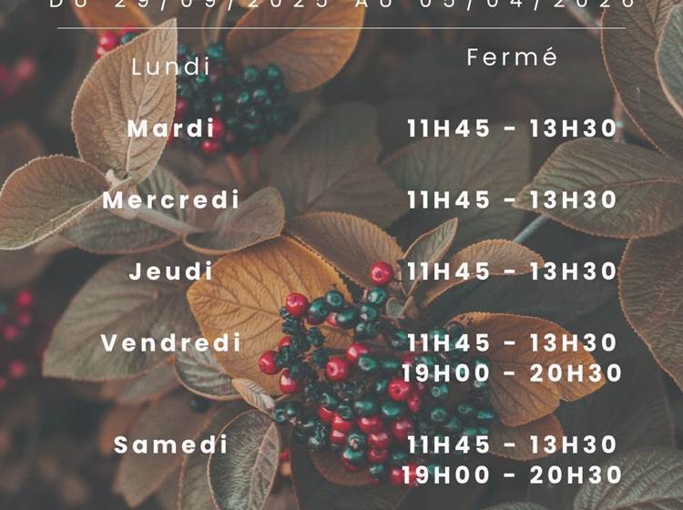 Sans titre