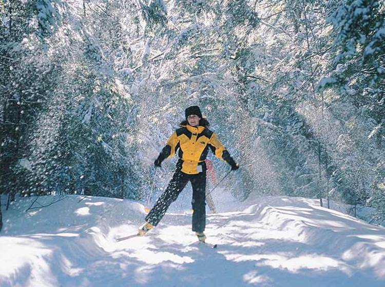 Possibilité de skier à La Baraque de Fraiture