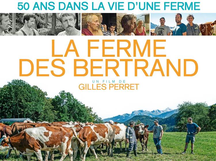 Sans titre