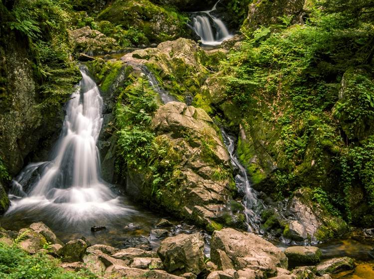 Grande Cascade de Tendon hauteur de 32m, Vosges