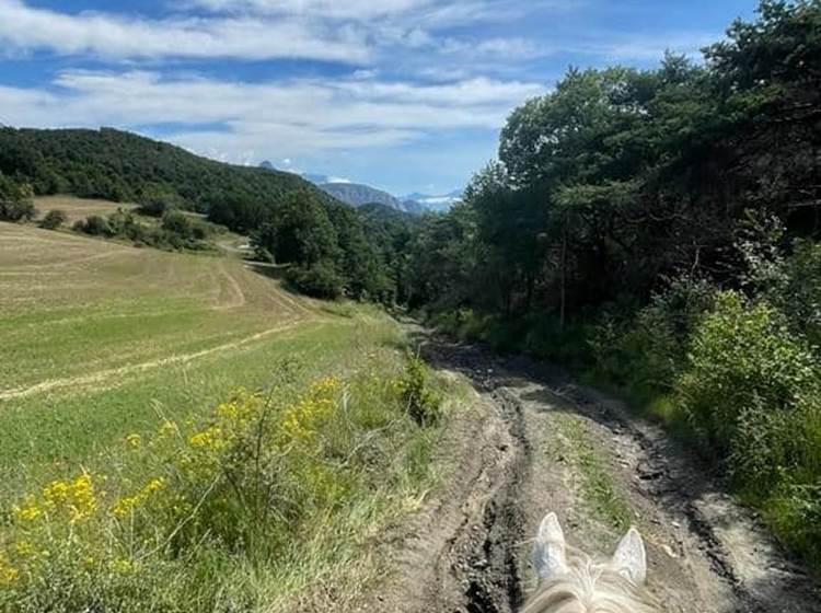 Ecuries les Pies du Sud - Rochebrune