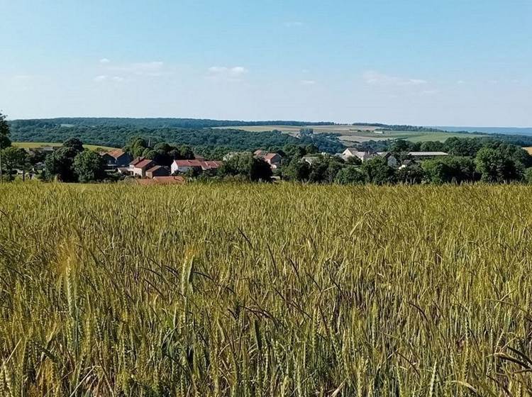 le village de Bulson, route de Maisoncelle